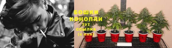 ешки Богданович