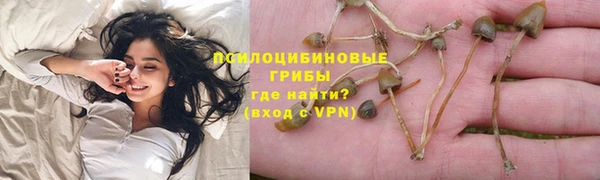 тгк Белокуриха