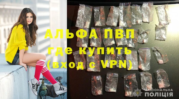 тгк Белокуриха