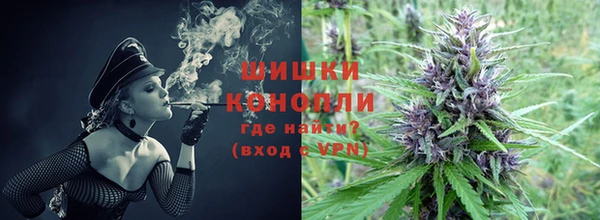 тгк Белокуриха